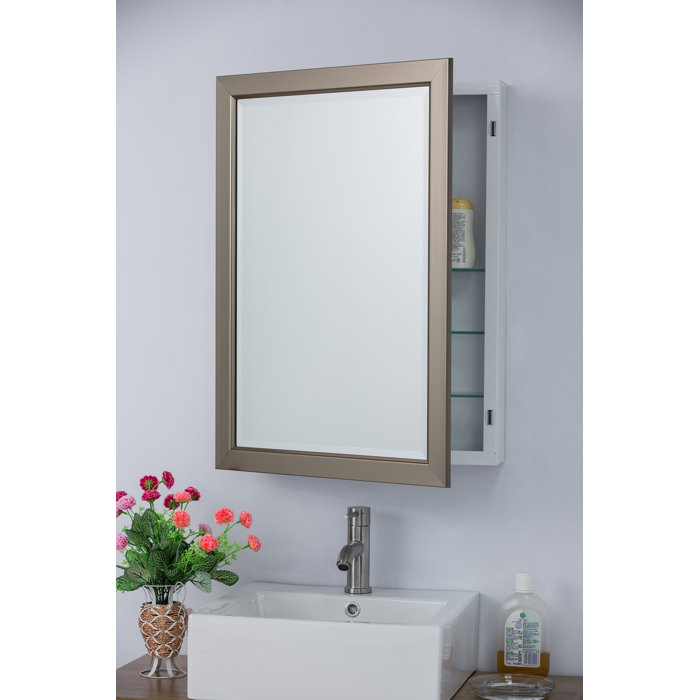 Wrought Studio Moreland 22" x 30" Surface Mount Framed Medicine